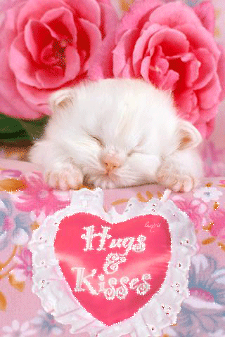 Imagen animada de lindo gatito con detalle y gestos de amor junto a unas lindas rosas y corazón de color rosado con movimiento